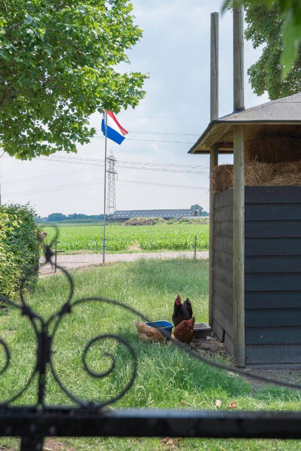 Ferienwohnung De Dorsvloer Drimmelen Exterior foto